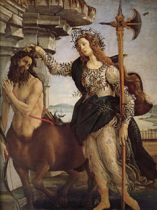 Sandro Botticelli Minerva and the Orc Spain oil painting art